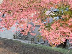 -神户市立六甲山牧场