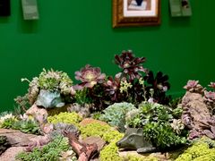 -德基艺术博物馆