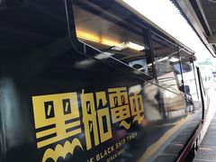 -伊豆观海列车