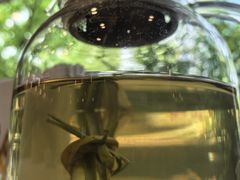 -阿诺泰·泰国餐厅(棕北店)