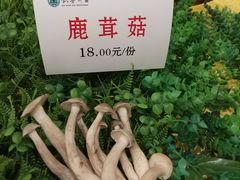-钦善斋(武侯祠店)