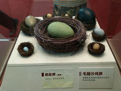 -辛玛王国游乐园