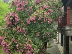 -龙潭水乡