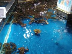-盒马鲜生(悦峰店)