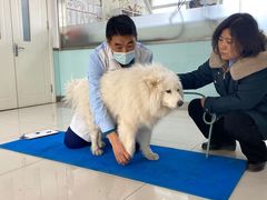 -派美特宠物医院·核磁CT·骨科肿瘤·疑难转诊(沈农禾丰店)