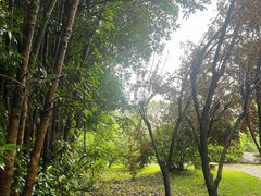 -陶祖圣境风景区