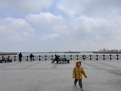 -盐城丹顶鹤湿地生态旅游区