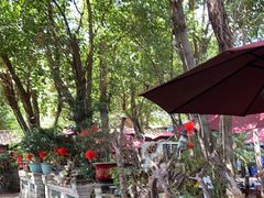 -园林美食城·本土农家菜(杨和镇店)