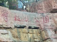 -攀枝花公园