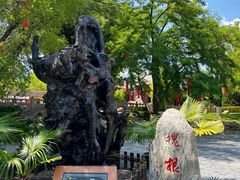 -大槐树寻根祭祖园