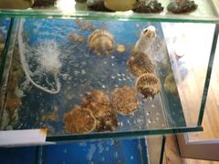 -雅逸居海鲜小厨