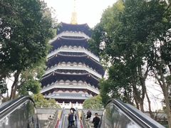 -西湖外事游船(花港观鱼码头)