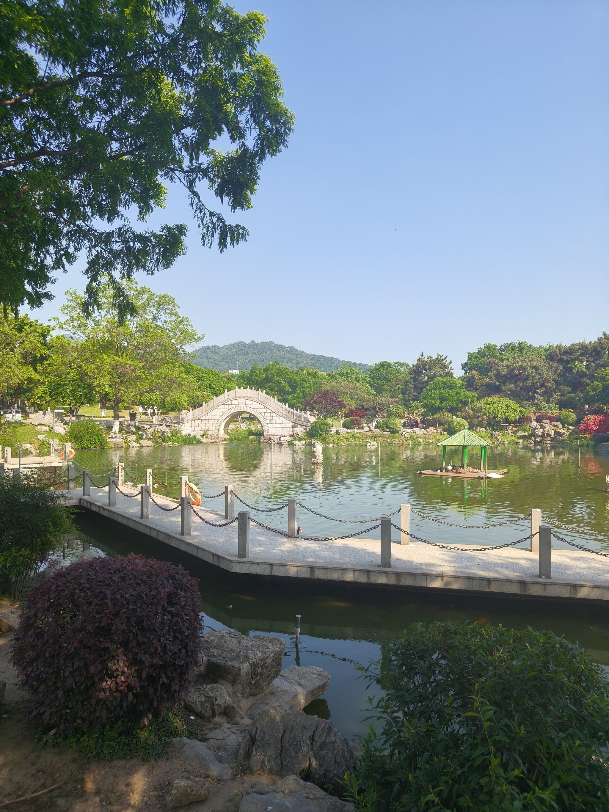春色满园,春天的景色迷人