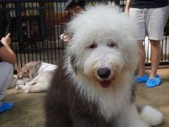 -TrueLove @ Neverland (Husky Cafe)