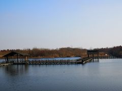-溱湖国家湿地公园