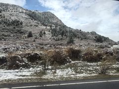 -九寨特色牦牛肉汤锅 羊肉汤锅