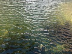 -黑龙潭风景区