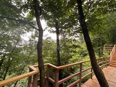 -吉林市朱雀山国家森林公园