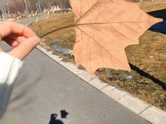 -五环公园