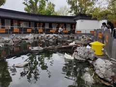 -龙华寺