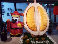 -都念榴莲·城市榴莲