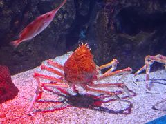 -正佳极地海洋世界