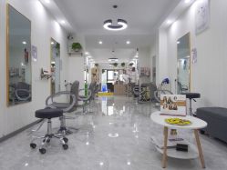 -缪斯造型Muse style