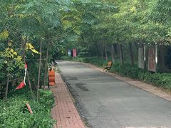 -人民公园(黄骅市)