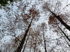 -白鹭湾湿地公园