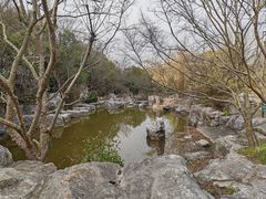 -上海吴淞炮台湾国家湿地公园