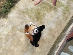 -杭州野生动物世界