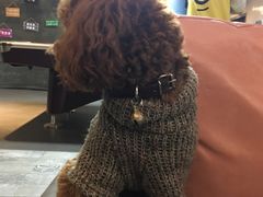 -CIAO·团建聚餐·生日派对轰趴馆(福田店)