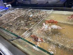 -诱货海鲜自助火锅(爱琴海购物公园东百店)