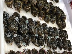 -盒马鲜生(龙德广场店)