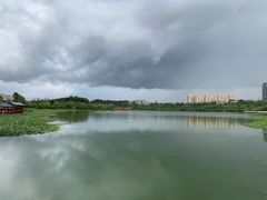 -洛龙公园