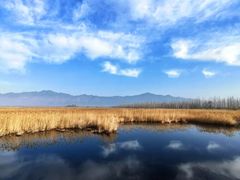 -野鸭湖国家湿地公园