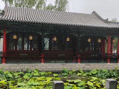 -济南大明湖景区