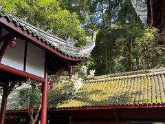 -凤栖山