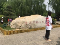 -习家池