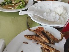 -华龙特色大骨鸡农家菜馆