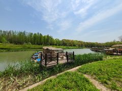 -上海长兴岛郊野公园