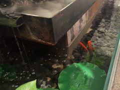-国人川菜(李家村建东街店)