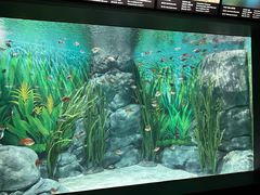 -上海海洋水族馆