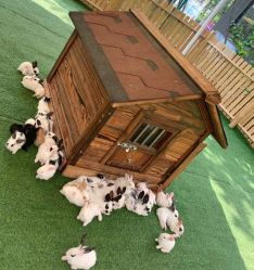 -萌宠亲子动物乐园(槐房万达店)