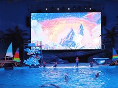 -海合安武汉极地海洋公园