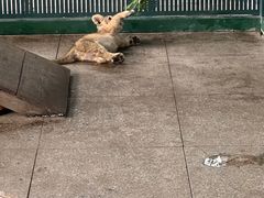 -秦皇岛野生动物园
