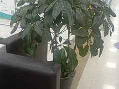 -上海仁爱医院