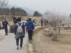 -白水寺森林公园