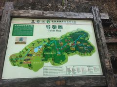 -西双版纳原始森林公园