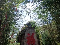 -摩天岭风景区